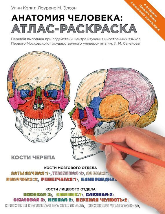 Книга "Анатомия человека. Атлас-раскраска"